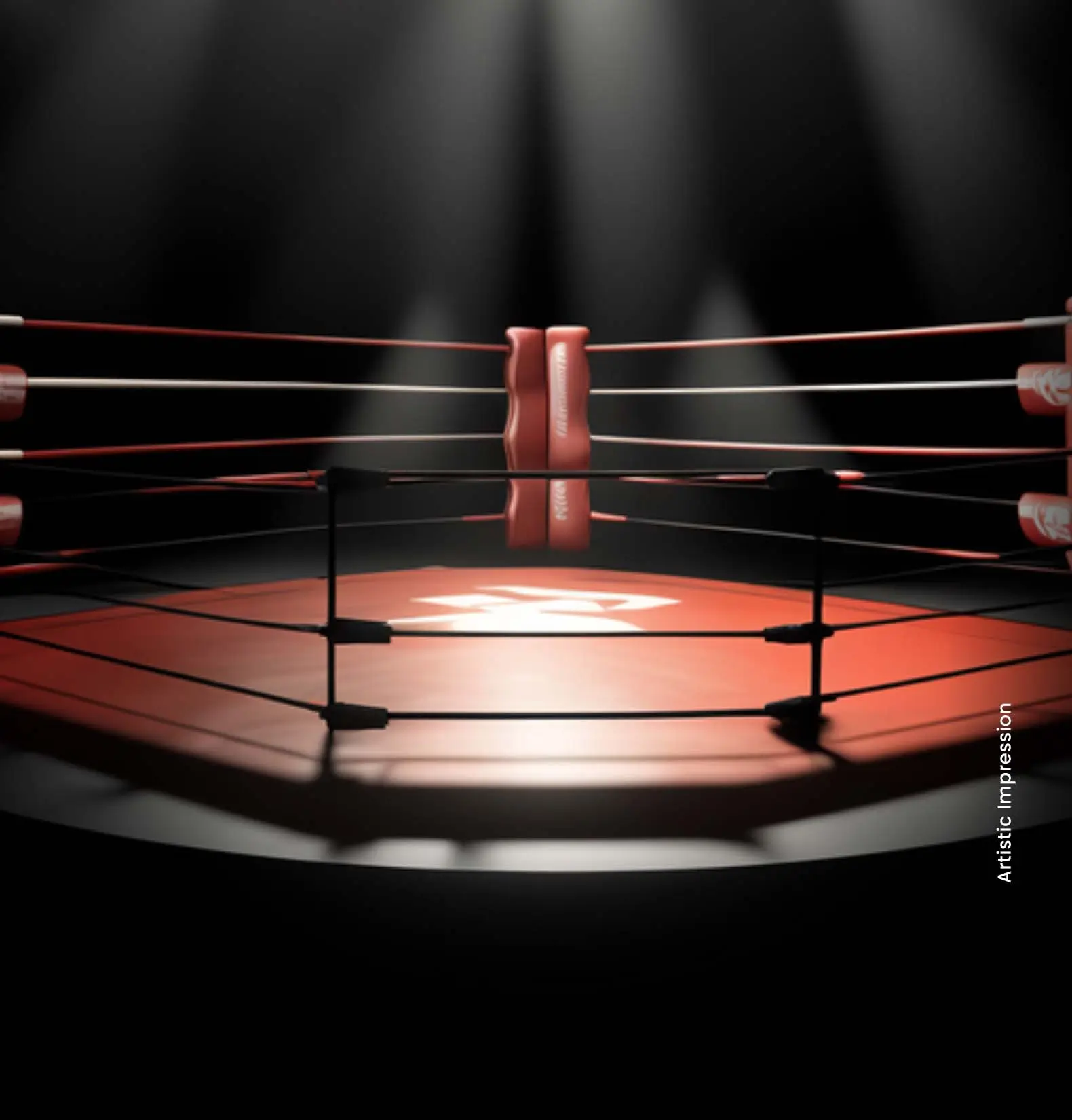boxing-ring_-_5cj3x3HHPT3q