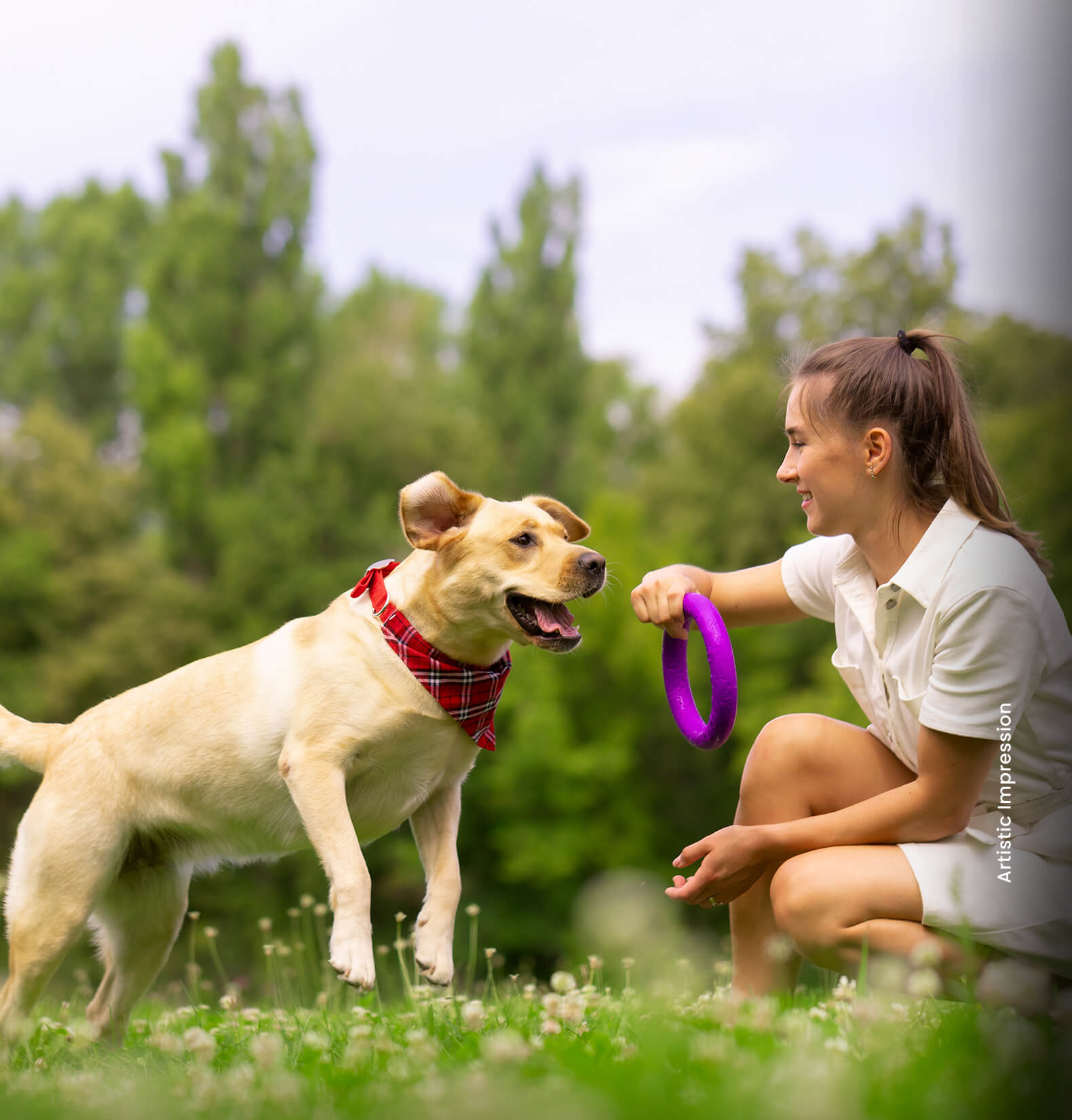 pet-park_-_CAhCMGOcGcmk