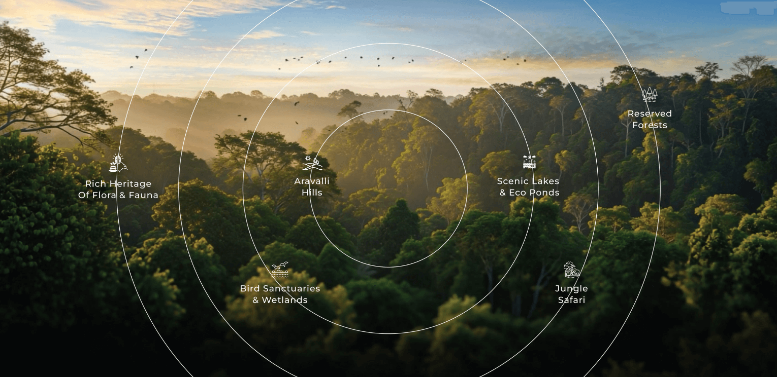 immersive_tour_(1)_-_4ZrpOqx8DXpD